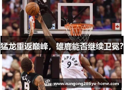 猛龙重返巅峰，雄鹿能否继续卫冕？